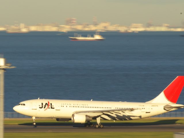 Airbus A300 B4-600 (A306)