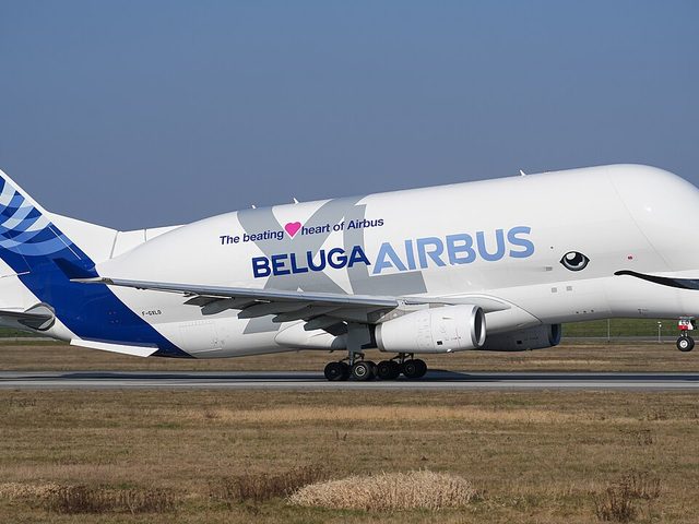 Airbus A330-700 - Beluga Xl (A337)
