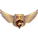 AKC AVIATION LLC