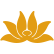HVN