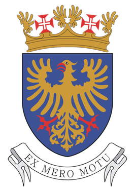Portuguese Air Force logo