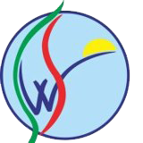 Silk Way Airlines logo