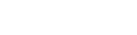 Flying Service logo