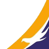 Proflight Air Services Limited logo