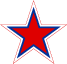 Russian Federation AIR Force logo