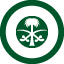 Royal Saudi AIR Force logo