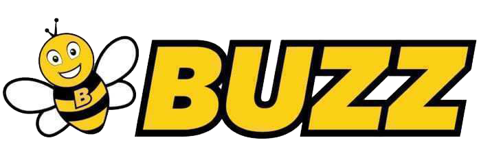 Ryanair Sun S.a logo